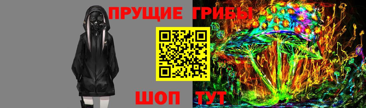 Усть-Джегута  Псилоцибиновые грибы GOLDEN TEACHER  Вход с VPN  как найти закладки  Псилоцибиновые грибы GOLDEN TEACHER 